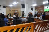 3ª Extraordinária: vereadores garantem avanços nas ações emergenciais para conter surto de gripe 