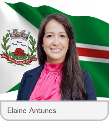 Elaine Antunes