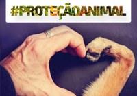 Aprovado PL que institui na Câmara Municipal a procuradoria especial da causa animal