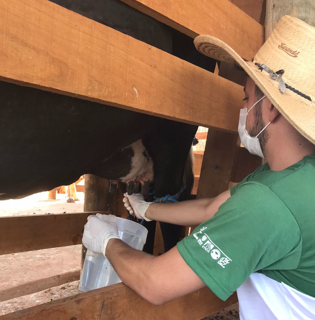 Autorizado recurso de R$ 600 mil para viabilizar melhoramento genético do rebanho leiteiro 