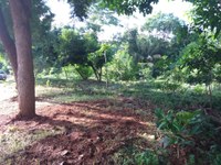 Câmara aprova novo Código Ambiental do Município 