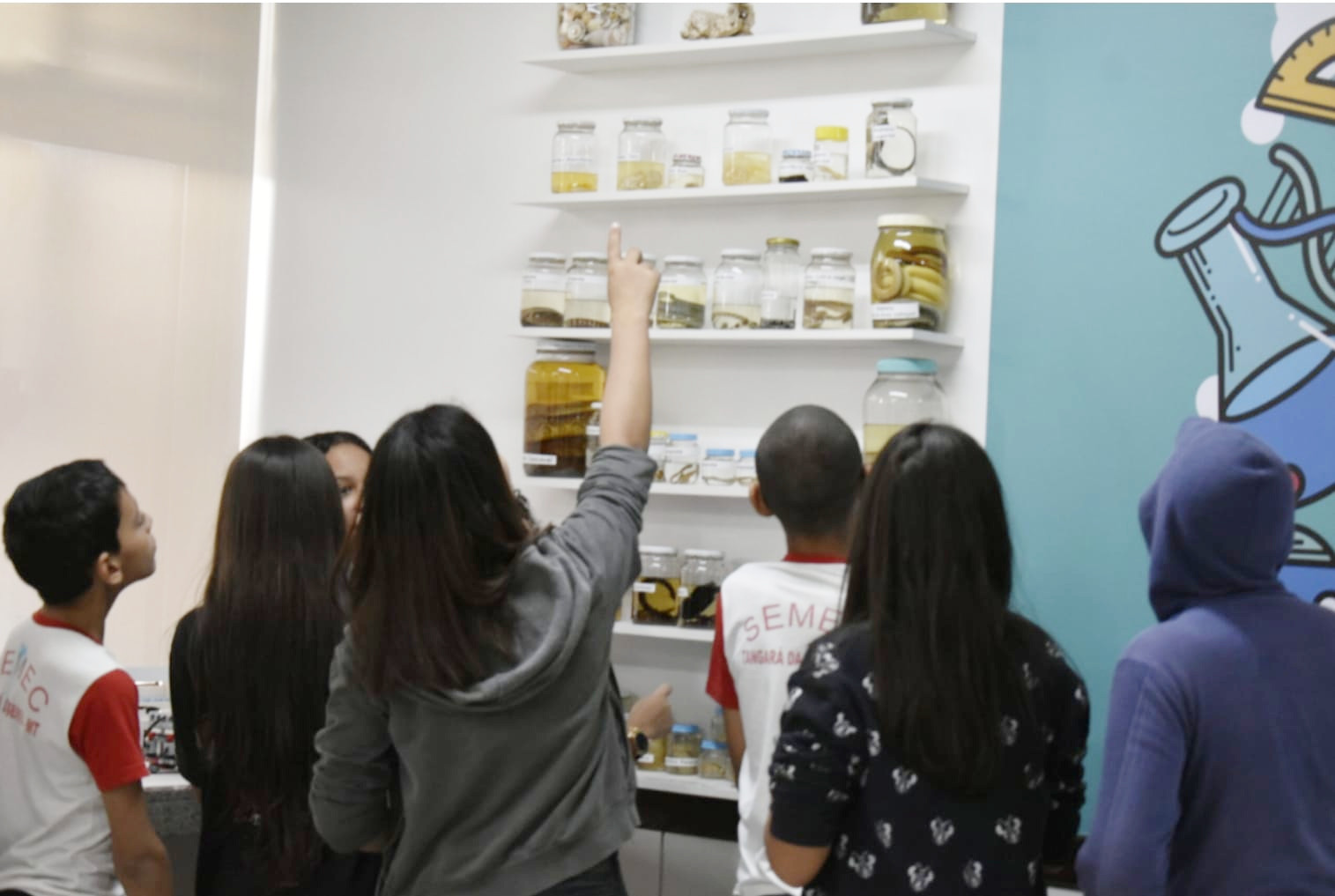 Câmara aprova repasse de R$ 5,4 milhões para suprir ampliação do sistema educacional 