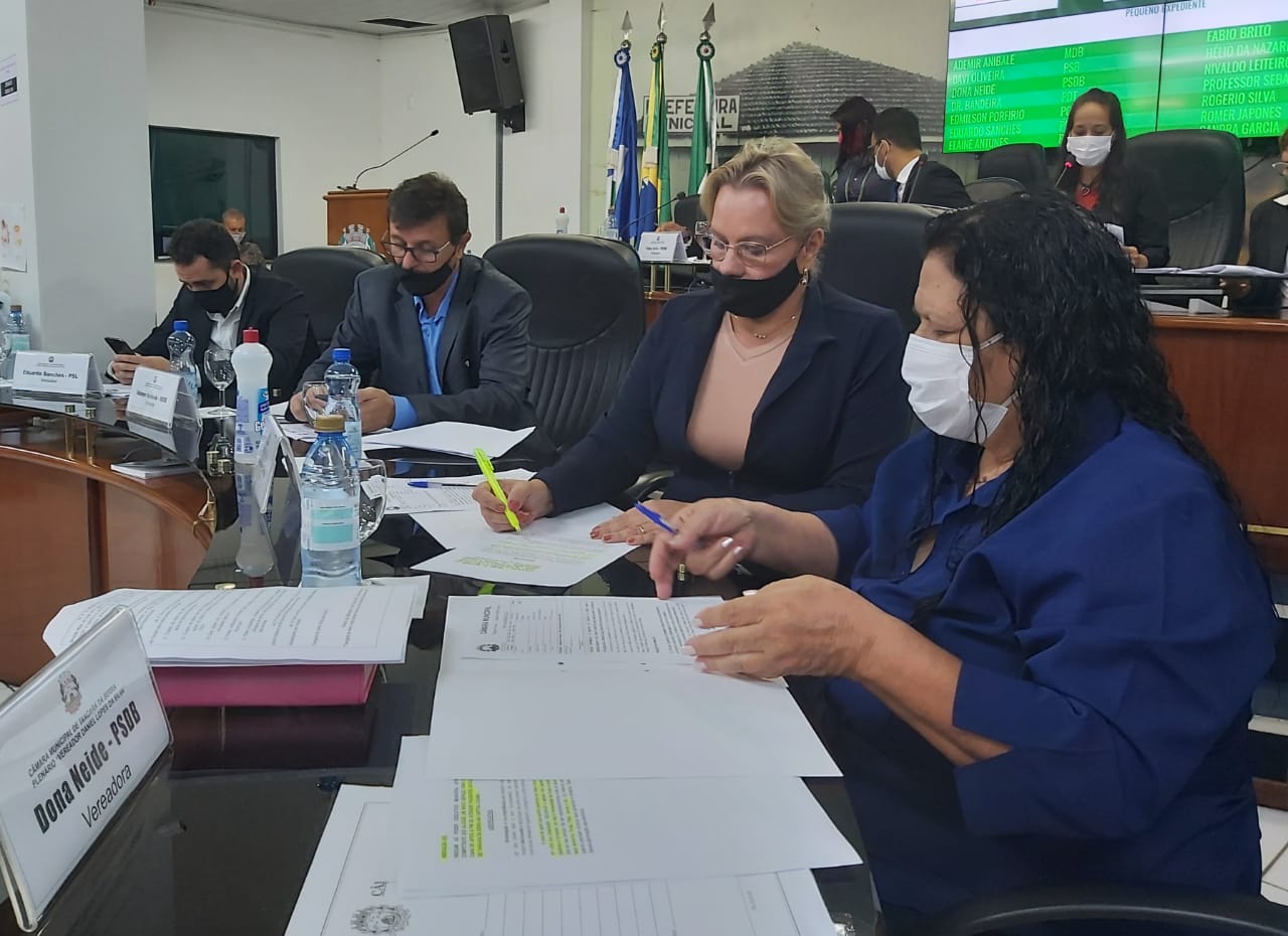 Legislativo constitui Comissões Permanentes e formaliza relatorias em Sessão Ordinária 