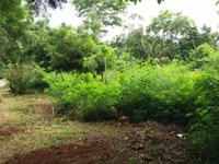 Crédito de R$ 517 mil é autorizado para o cercamento de Áreas de Preservação Permanente (APP) 