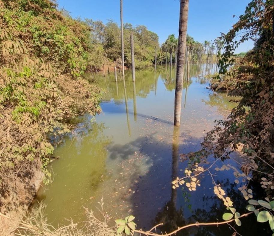 Câmara aprova repasse de R$ 2 milhões para gestão, preservação e conservação ambiental 