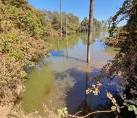 Câmara aprova repasse de R$ 2 milhões para gestão, preservação e conservação ambiental 