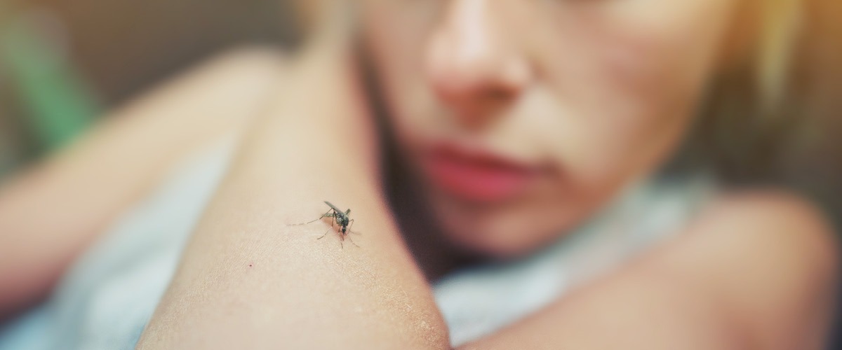 Vereadores aprovam crédito de R$ 1,8 milhão para enfrentamento à Dengue, Chikungunya, Zica e Covid