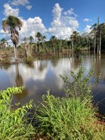 Autorizado crédito de R$ 4,4 mi para a gestão e desenvolvimento ambiental 