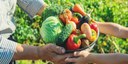 Câmara aprova crédito para a Associação de Agricultores Familiares Vale do Sol l