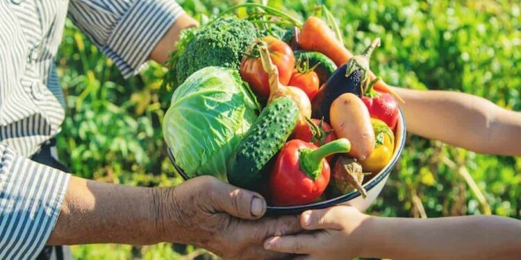 Câmara aprova crédito para a Associação de Agricultores Familiares Vale do Sol l