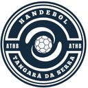 Câmara aprova projeto que destina recursos de emenda parlamentar para o desenvolvimento do handebol municipal