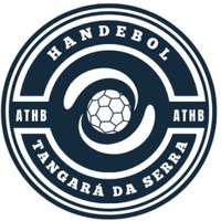 Câmara aprova projeto que destina recursos de emenda parlamentar para o desenvolvimento do handebol municipal