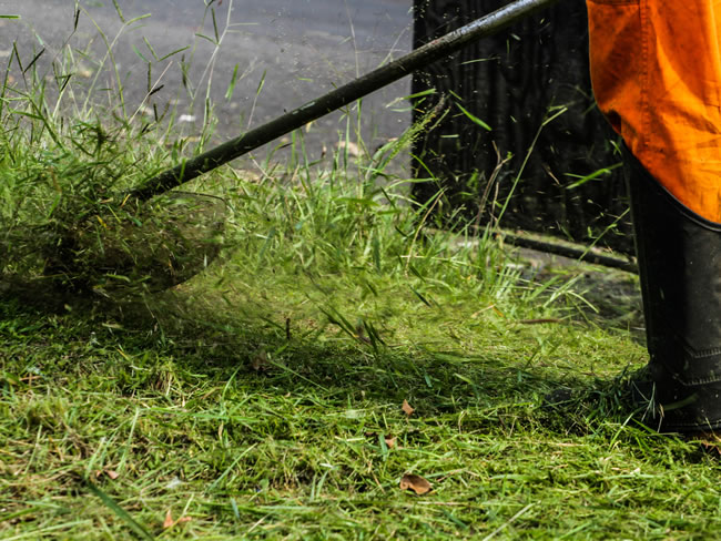 Crédito de R$ 100 mil é aprovado para contratar empresa especializada em limpeza de lotes urbanos 