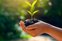 Plenário aprova crédito para a Secretaria de Meio Ambiente Plenário aprova crédito para a Secretaria de Meio Ambiente