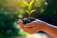 Plenário aprova crédito para a Secretaria de Meio Ambiente