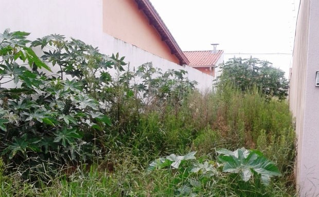 Projeto prevê aplicação imediata de multas para terrenos com entulhos