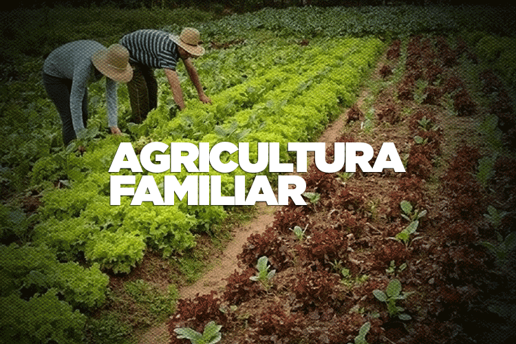 Recurso de R$ 500 mil aprovado pela Câmara assegura serviços e melhorias para fortalecer a agricultura 