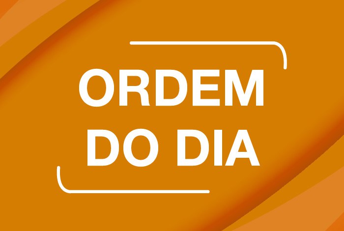 Vereadores analisam sete projetos e 19 indicações nesta terça (19); confira a pauta da sétima sessão de 2024