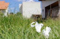 Aprovados projetos que garantem a limpeza de terrenos ‘não edificados’ sob pena de multa 
