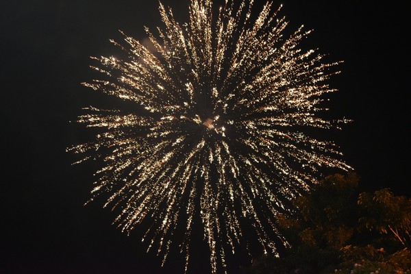 Projeto de lei que proíbe fogos de artifício com barulho é aprovado em primeira discussão 